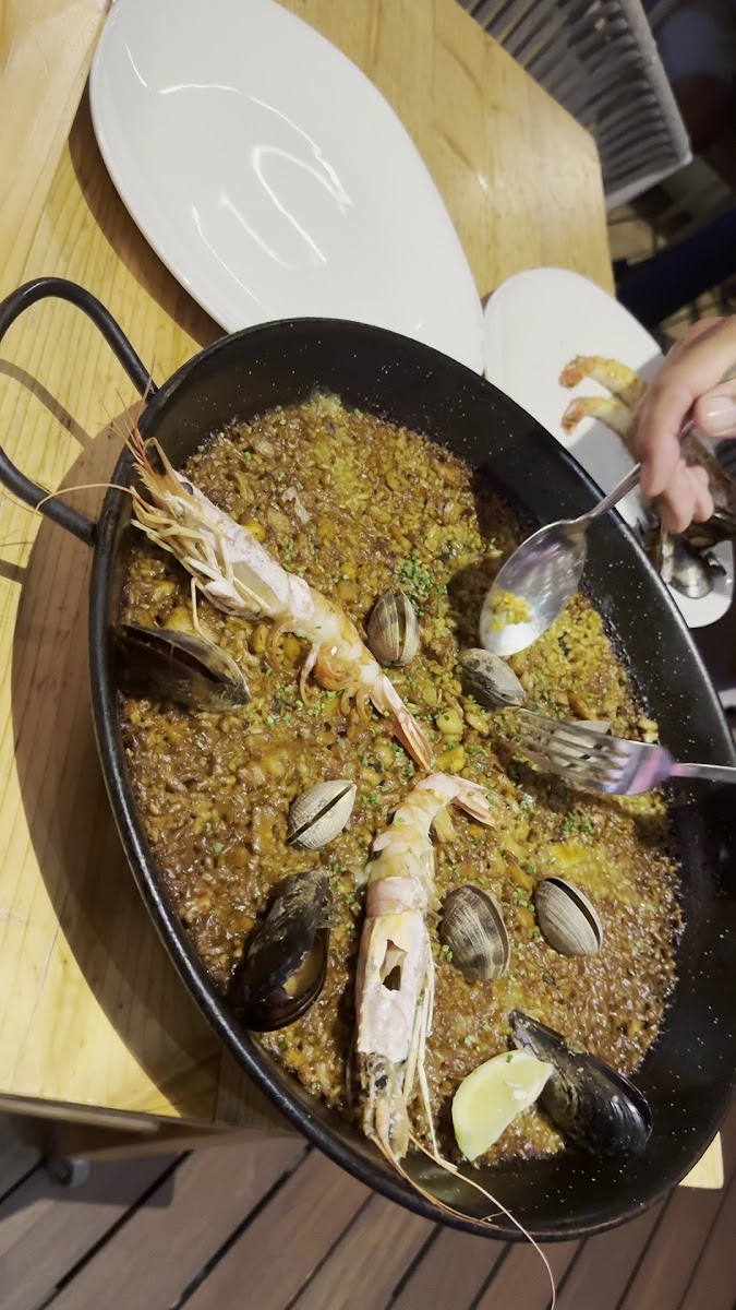 Bondi Beach Magaluf-2