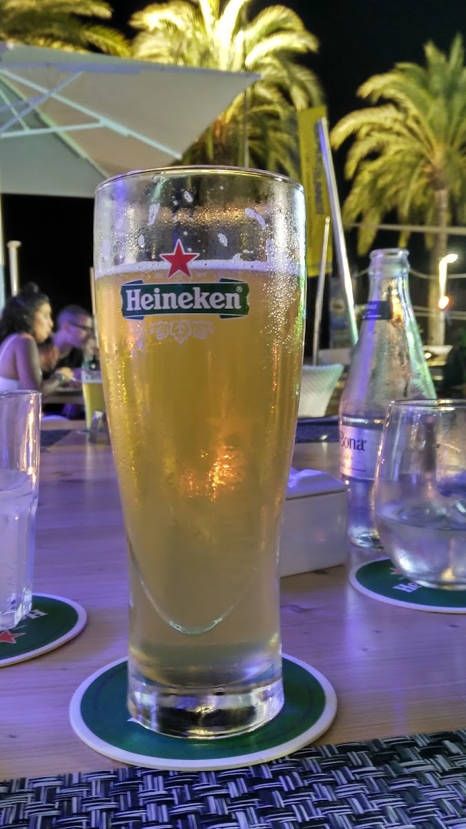 Bondi Beach Magaluf-7